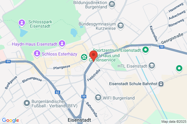 Feichtinger Erwin Mag