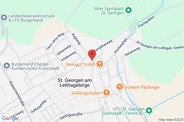 Volkstanzgruppe St. Georgen Franz Hahnekamp