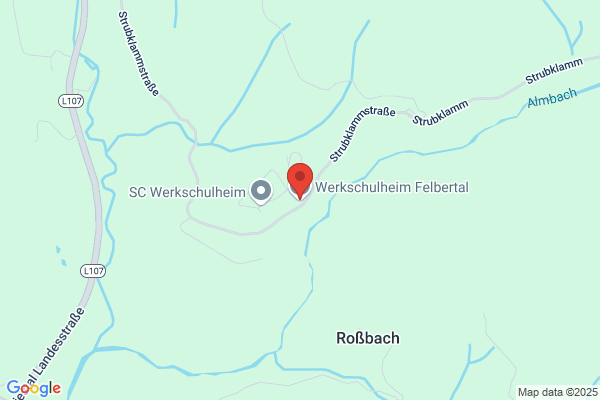 Werkschulheim Felbertal