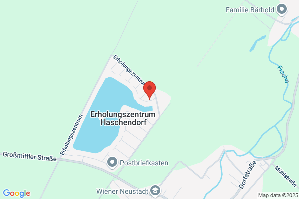 IT und O MANAGEMENT CONSULTING GMBH