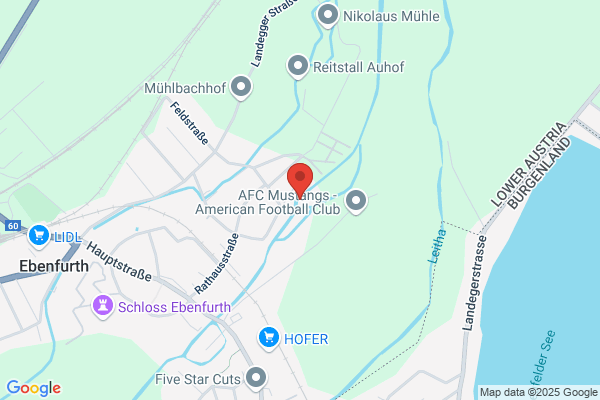 Thometich Gesellschaft m.b.H.