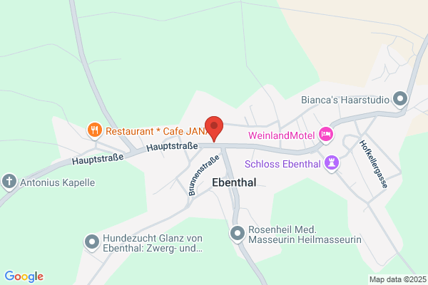 Freiwillige Feuerwehr