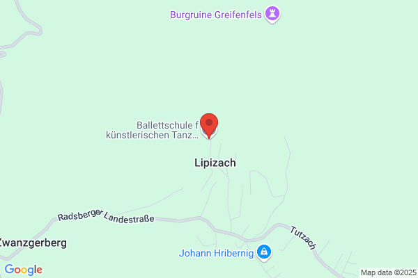 Ballettschule f kuenstlerischen Tanz