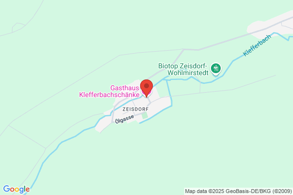 Gasthaus-Pension Skoff