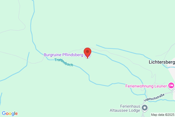 Burgverein Pflindsberg