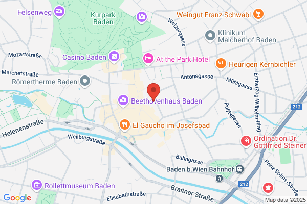 SC Sparkasse Baden Niklaus Somos