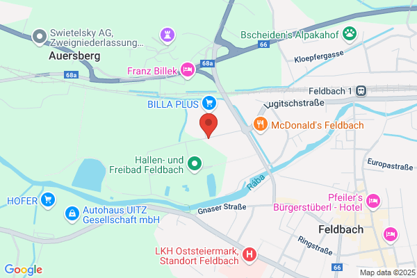 Autoreinigung Cristina Balaj