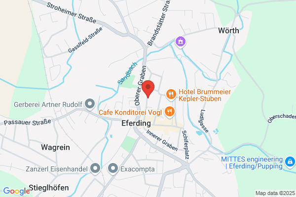 Pelzeder und Niemetz OEG