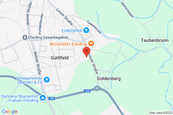 Oesterr. Turn- und Sportinion Eferding - Stamm