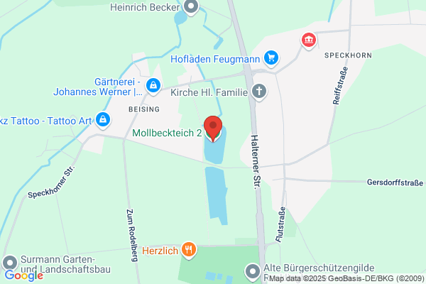 Fischteich