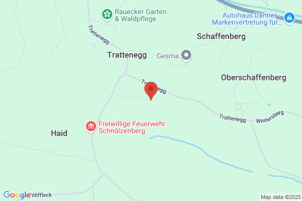 Guenther Zauner