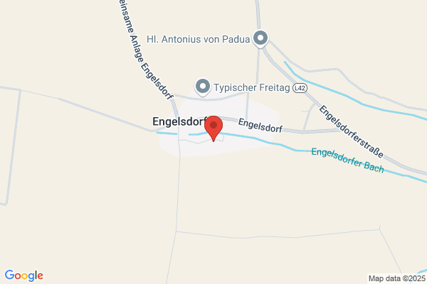 Mauerbluemchen