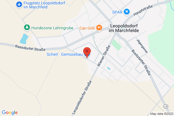 Gemuesehof Marchfeld GmbH