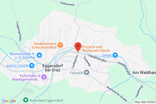 Pizzeria und Restaurant David