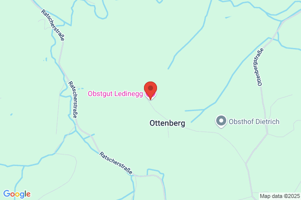 Johanna Ledinegg