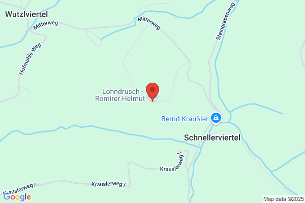 CHRISTBÄUME & LOHNDRUSCH - Romirer Helmut