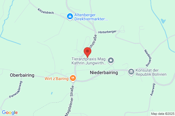 Zahntechnik-Meisterbetrieb Bettina Rauecker
