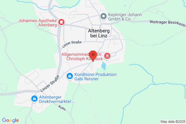 Dipl.Ing. Adolf Riegler