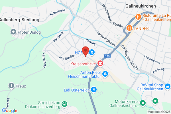 Reha-Service GmbH