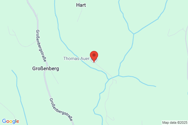 Bmstr. Ing. Thomas Auer