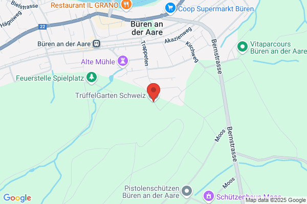 TrueffelGarten Urban und Pla OEG