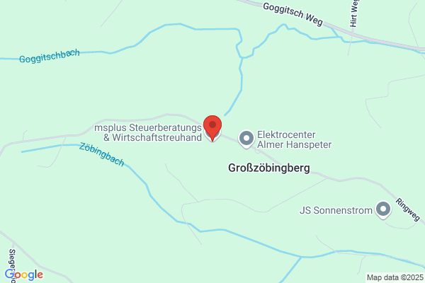 msplus Steuerberatungs & Wirtschaftstreuhand GmbH