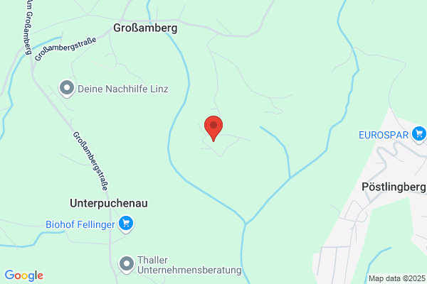Waltraud Mag Brandlmaier