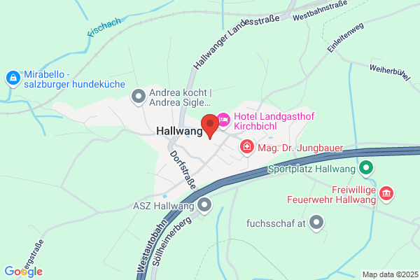 Sportschuetzenverein Hallwang