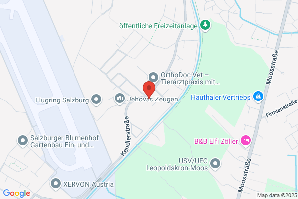 B & P GmbH