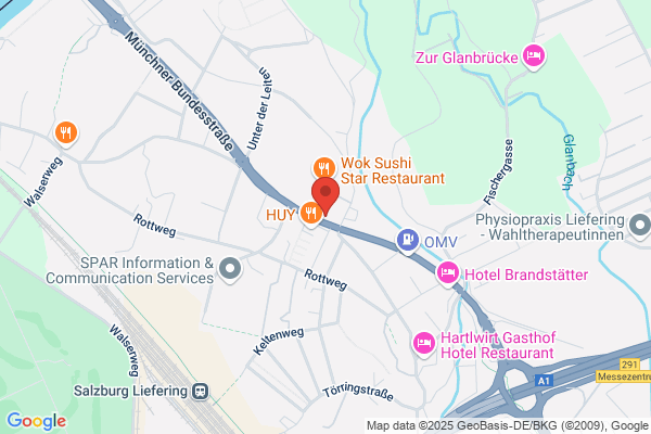 Ing. Manfred Schwarz