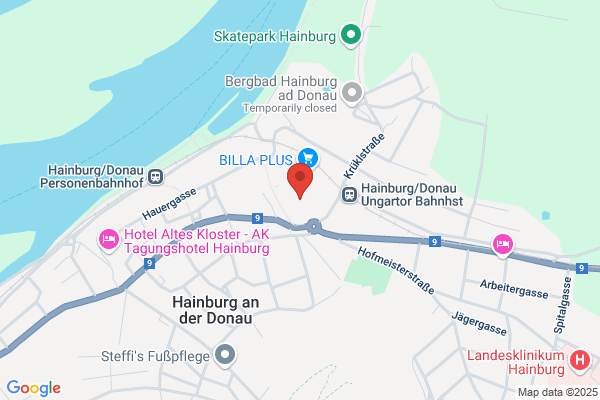 Action Hainburg an der Donau