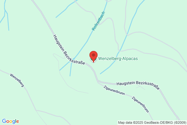Wenzelberg-Alpacas