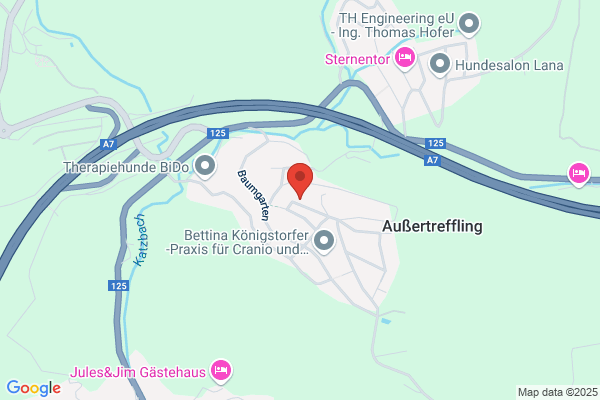 derWIGser
