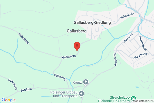 Dipl.KS Waltraud Baldinger-Erl