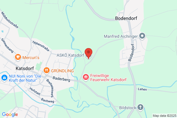 ASKOe Katsdorf Manfred Schwandner