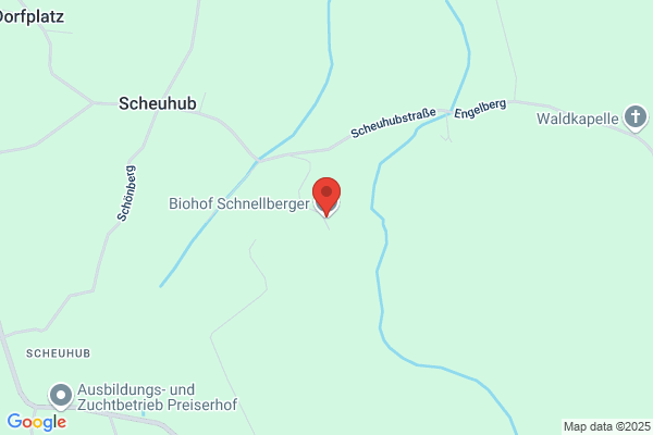 ZTA Zellstofftechnologie und Anlagenbau Ges.mbH