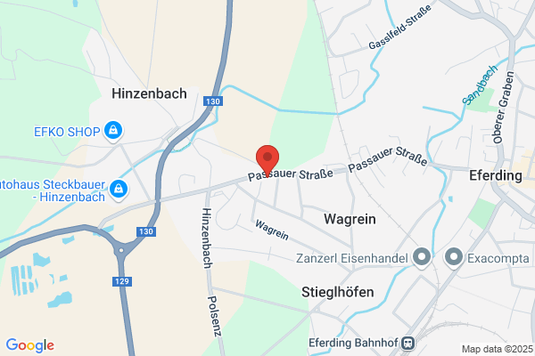 Pflanzen Fuerst