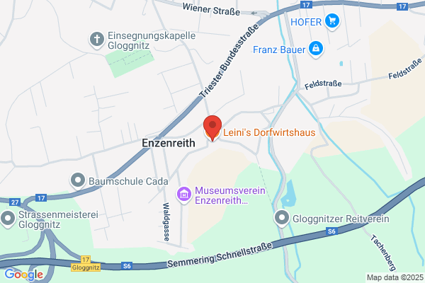 Dr. Elfriede Edsinger