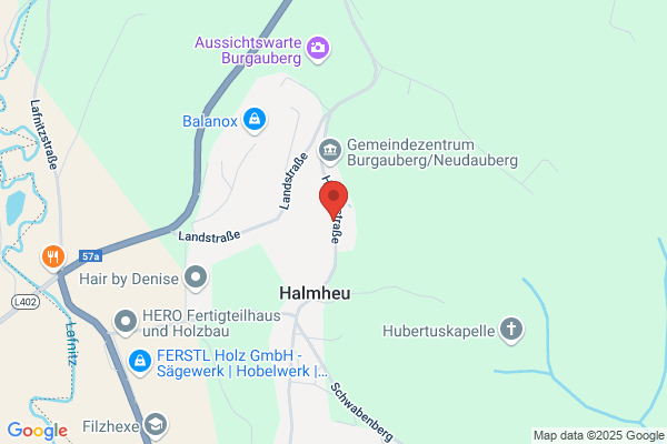 Lederer BaugesmbH