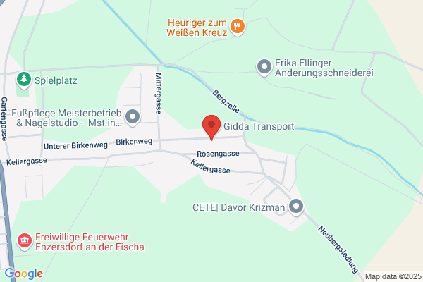 Truck parts Handelsges.m.b.H.