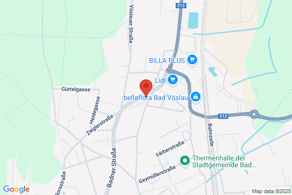 FWG-Fernwaermeversorgung Bad Voeslau reg.GenmbH