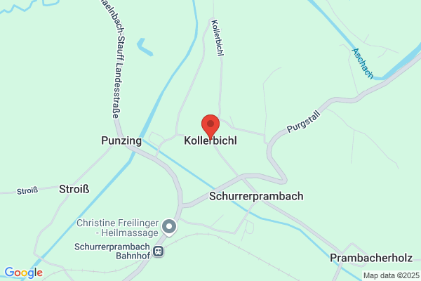 SC Wildbichl Thomas Koller