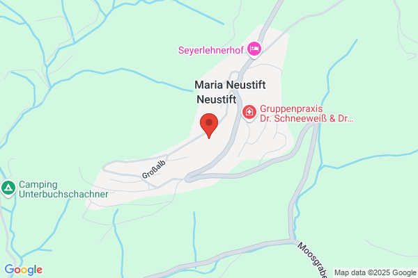Union Maria Neustift Alois Stang
