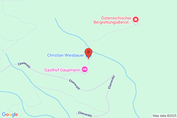 Wiesbauer