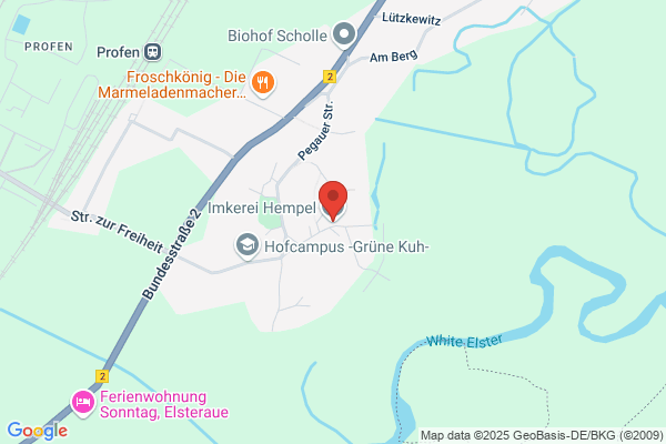 Hempel Friedrich Dipl Ing - Privatstiftung