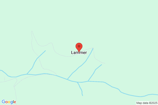 Lammer Lotte