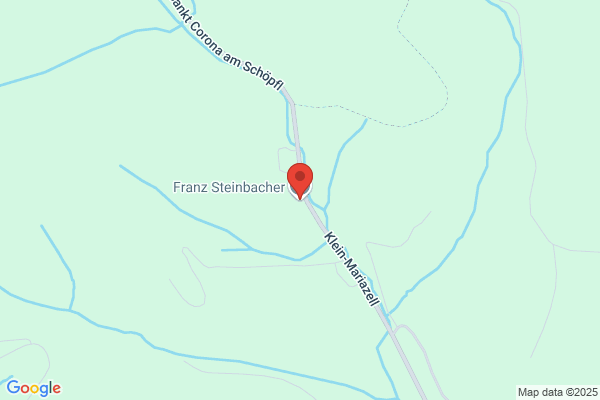 Franz Steinbacher