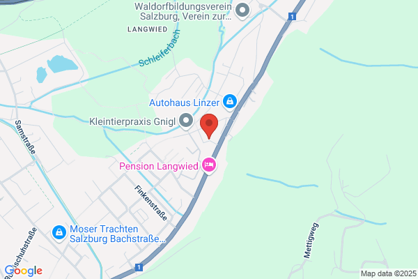 RS Fahrzeugglas OG