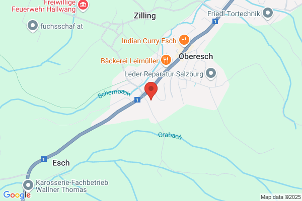Franz Bachinger Transport Gesellschaft m.b.H.