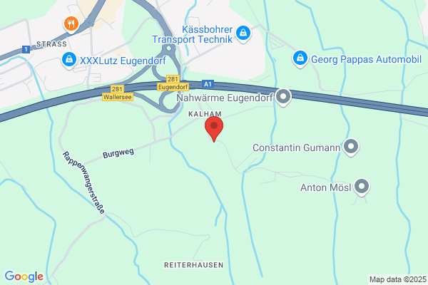 WieHundundKatz